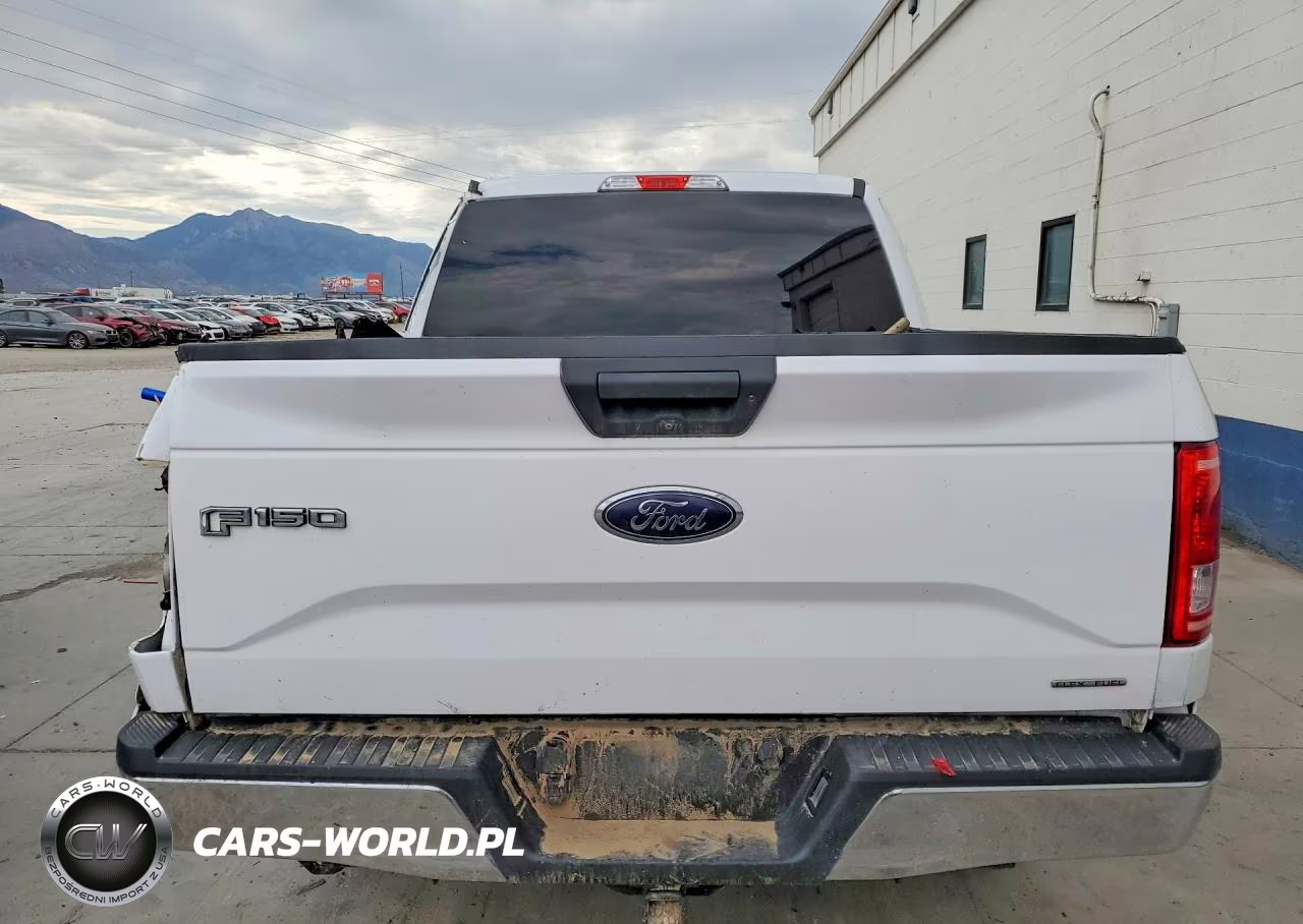 2016 Ford F150 Supercrew VIN:1FTEW1EF6GKE20514 - 6