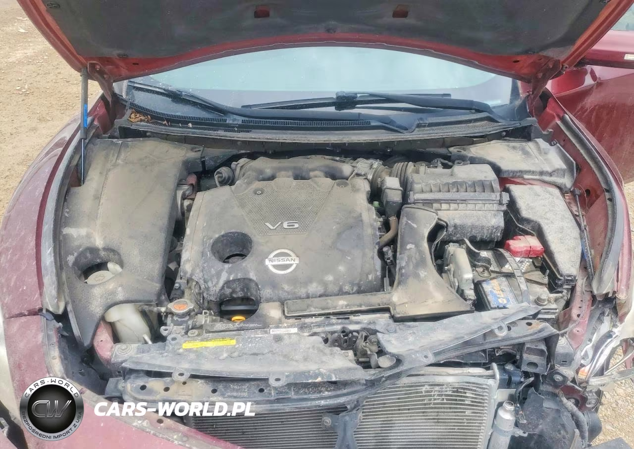2009 Nissan Maxima 3.5 S VIN:1N4AA51E89C814987 - 11