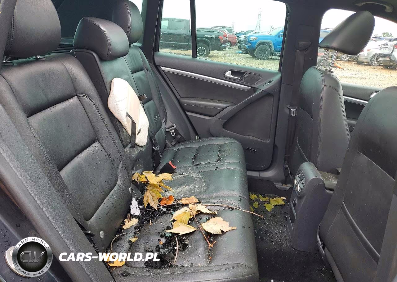 2015 Volkswagen Tiguan S VIN:WVGBV7AX0FW507349 - 11