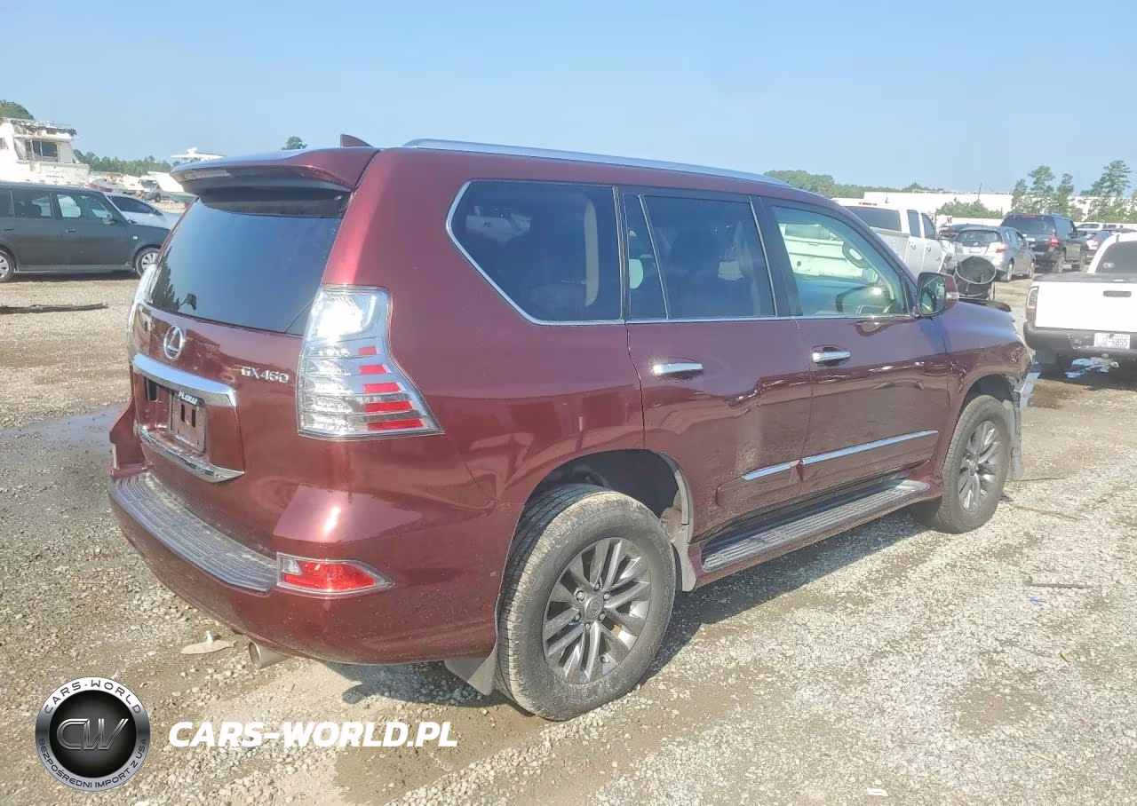 2016 Lexus Gx 460 Premium VIN:JTJJM7FX4G5132209 - 3
