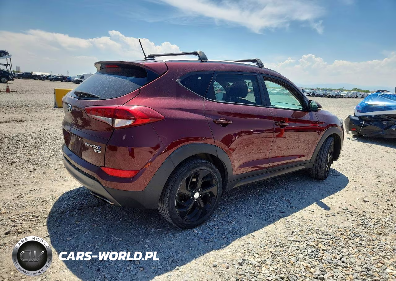2016 Hyundai Tucson Sport VIN:KM8J3CA25GU075210 - 3