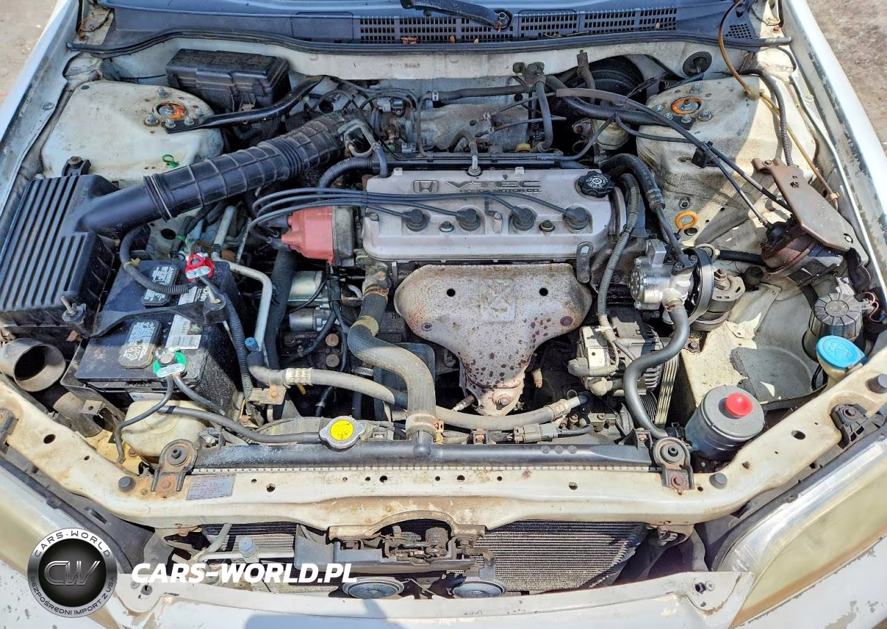 1998 Honda Accord Lx VIN:1HGCG5647WA058854 - 11