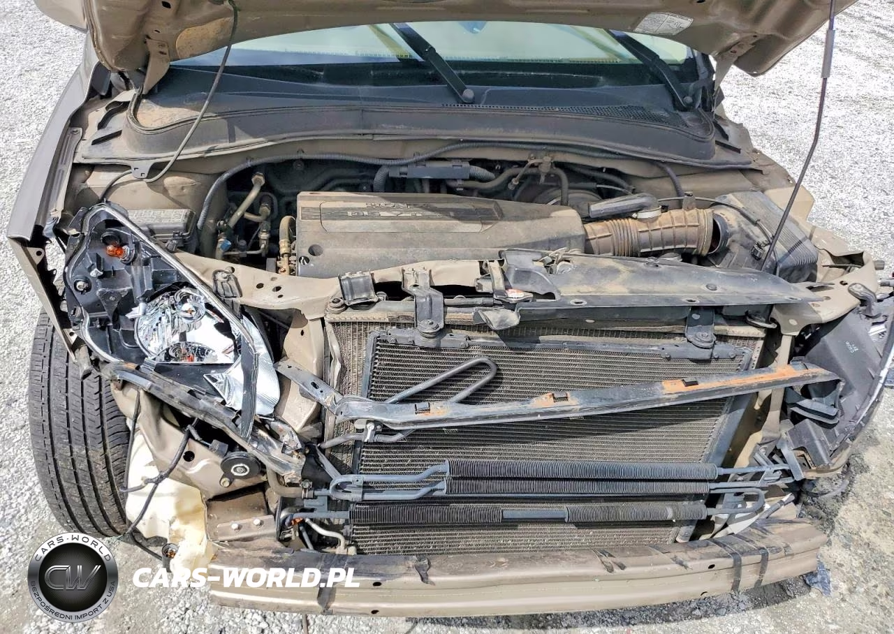 2004 Honda Pilot Exl VIN:2HKYF18524H557122 - 12