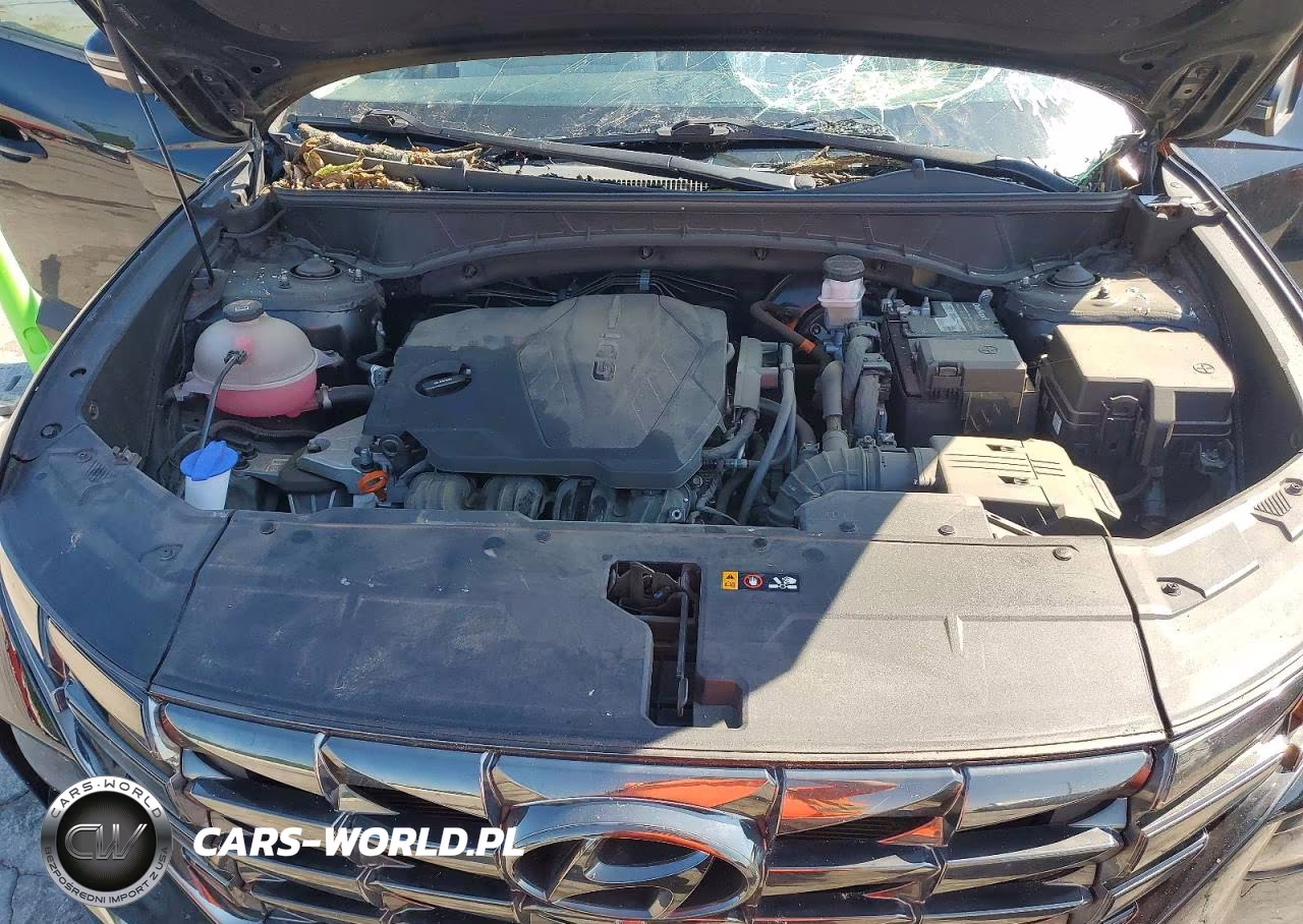 2022 Hyundai Tucson Limited VIN:5NMJE3AE0NH002906 - 12