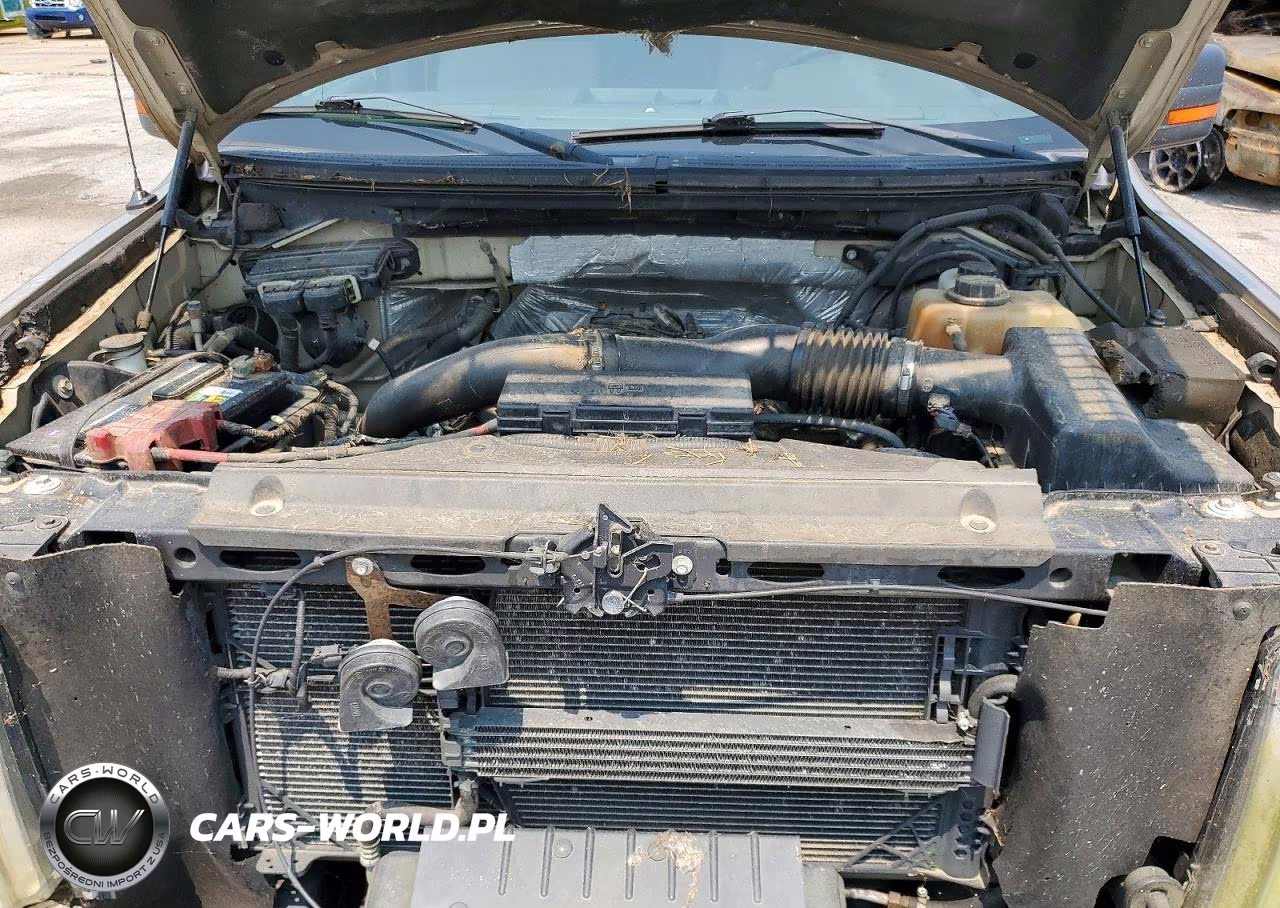 2011 Ford F150 Supercrew VIN:1FTFW1ET8BFD16005 - 11