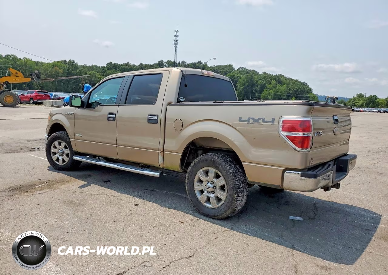 2011 Ford F150 Supercrew VIN:1FTFW1ET8BFD16005 - 2