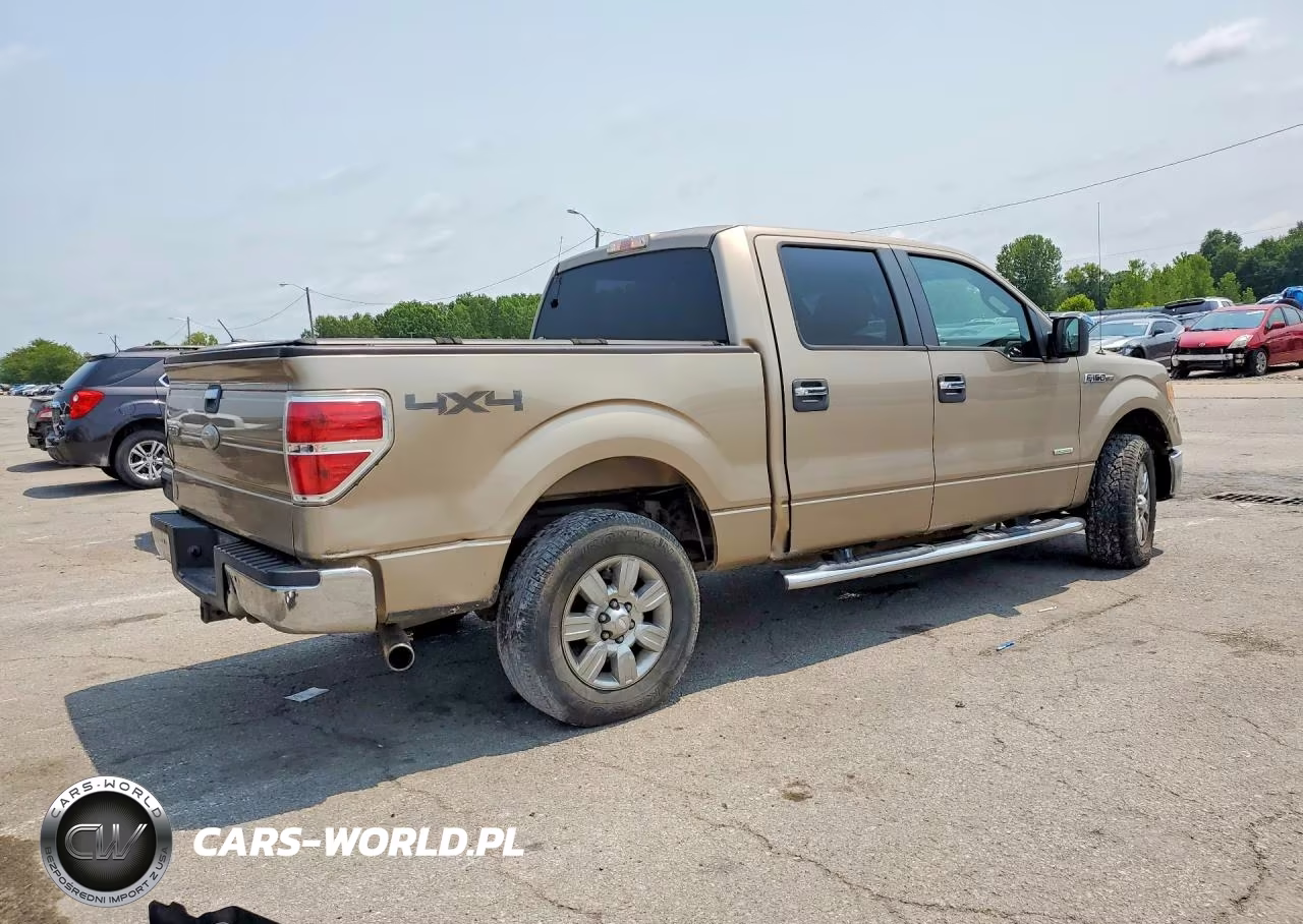 2011 Ford F150 Supercrew VIN:1FTFW1ET8BFD16005 - 3