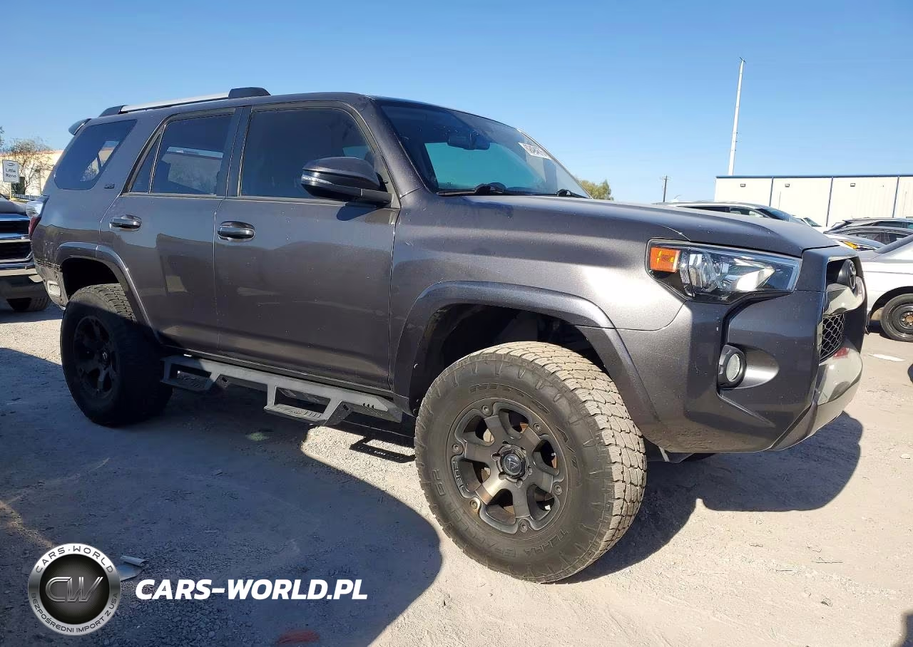 2019 Toyota 4Runner Sr5 Premium VIN:JTEBU5JR0K5641545 - 4