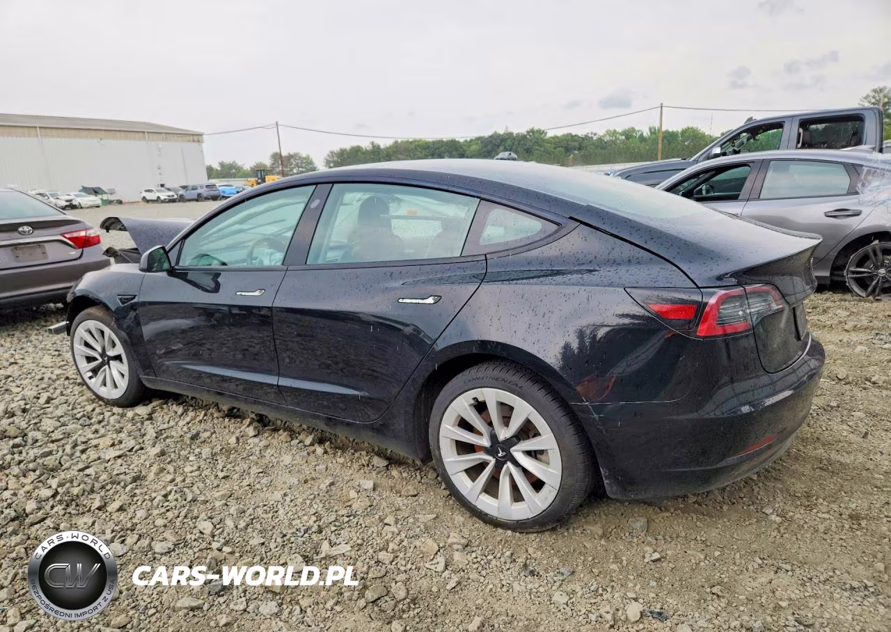 2023 Tesla Model 3 VIN:5YJ3E1EB1PF389922 - 2