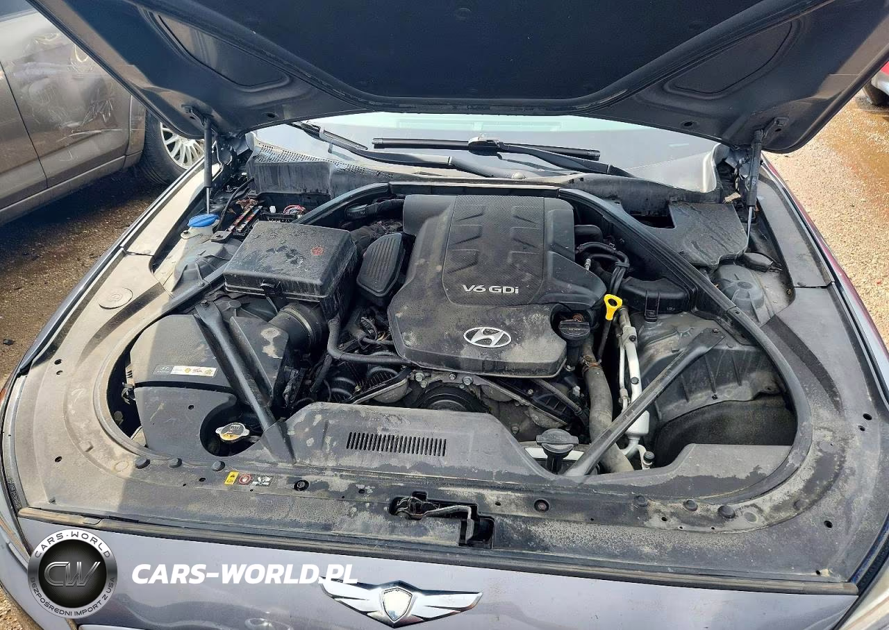 2015 Hyundai Genesis 3.8L VIN:KMHGN4JEXFU036180 - 11