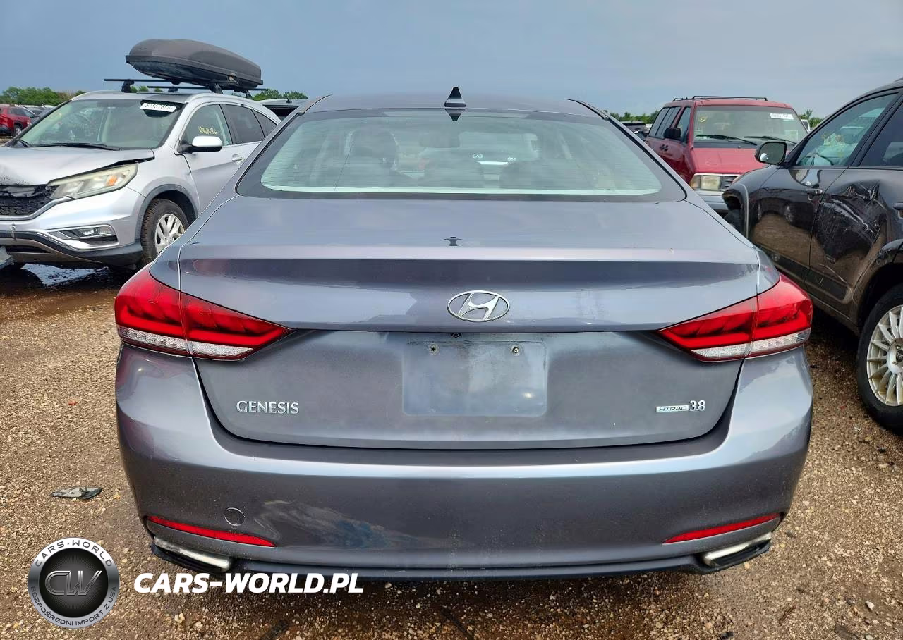 2015 Hyundai Genesis 3.8L VIN:KMHGN4JEXFU036180 - 6