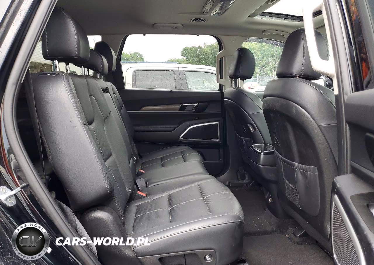 2020 Kia Telluride Ex VIN:5XYP3DHC9LG077010 - 11