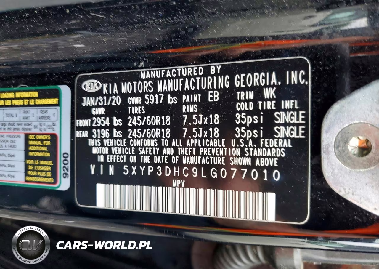 2020 Kia Telluride Ex VIN:5XYP3DHC9LG077010 - 13