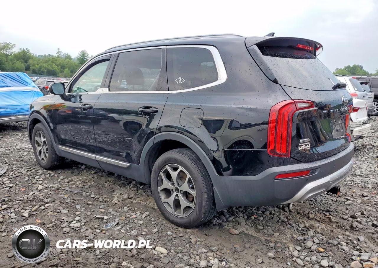 2020 Kia Telluride Ex VIN:5XYP3DHC9LG077010 - 2