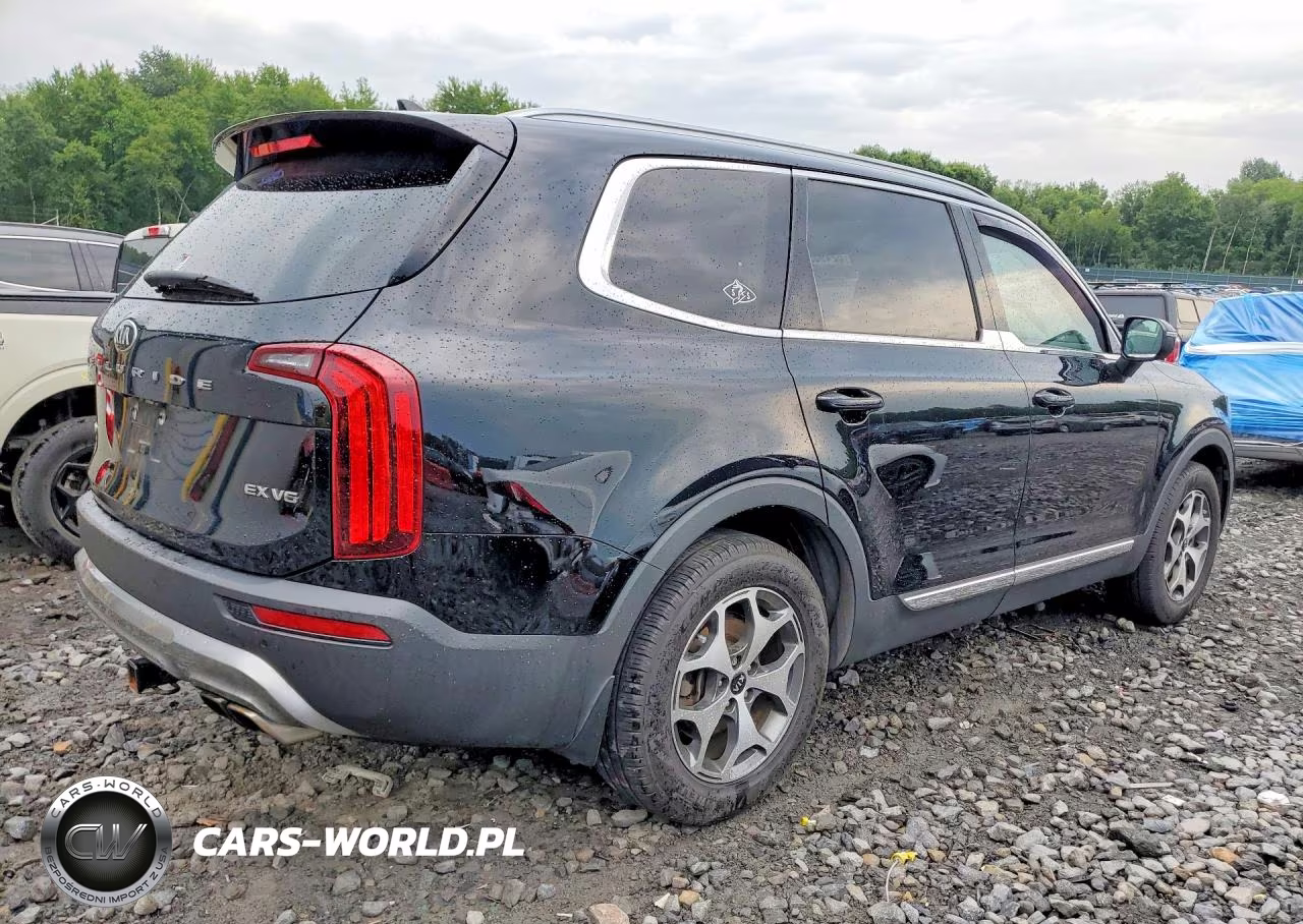 2020 Kia Telluride Ex VIN:5XYP3DHC9LG077010 - 3