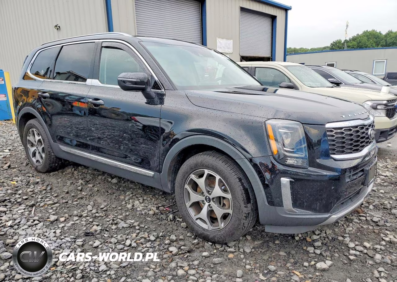 2020 Kia Telluride Ex VIN:5XYP3DHC9LG077010 - 4