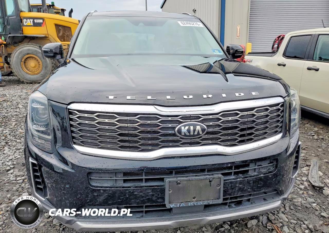 2020 Kia Telluride Ex VIN:5XYP3DHC9LG077010 - 5