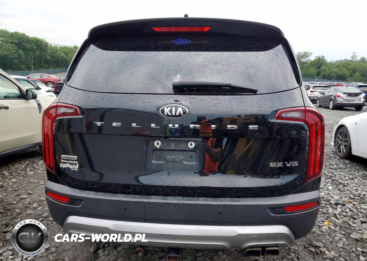 2020 Kia Telluride Ex VIN:5XYP3DHC9LG077010 - 6