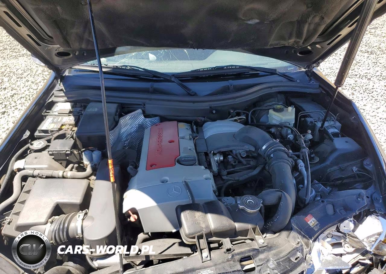 2001 Mercedes-Benz Slk 230 Kompressor VIN:WDBKK49F21F169645 - 11