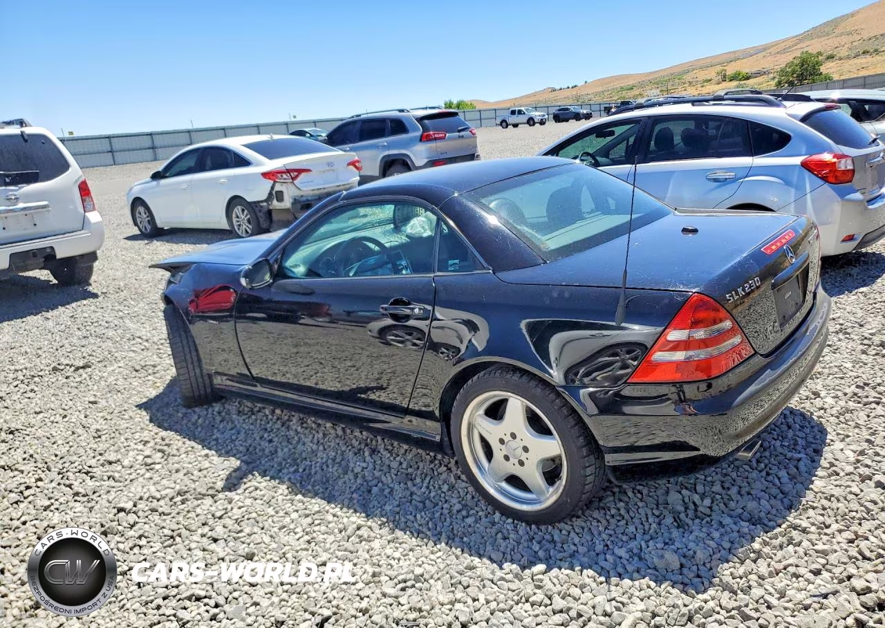 2001 Mercedes-Benz Slk 230 Kompressor VIN:WDBKK49F21F169645 - 2