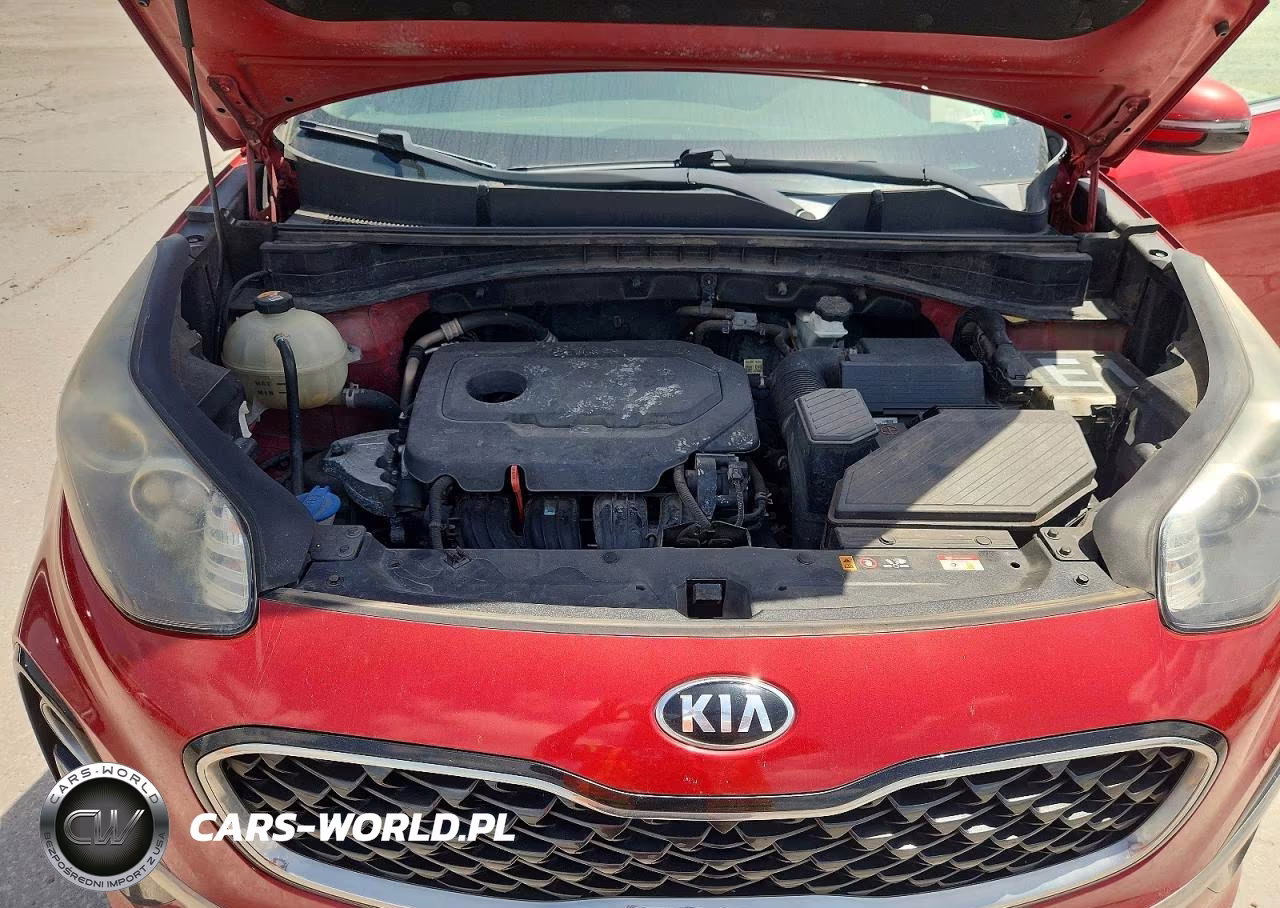 2020 Kia Sportage Ex VIN:KNDPN3AC8L7735511 - 12