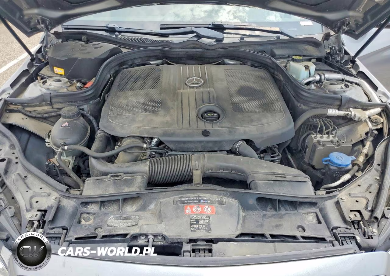 2014 Mercedes-Benz E 250 Bluetec VIN:WDDHF9HB7EB016578 - 11