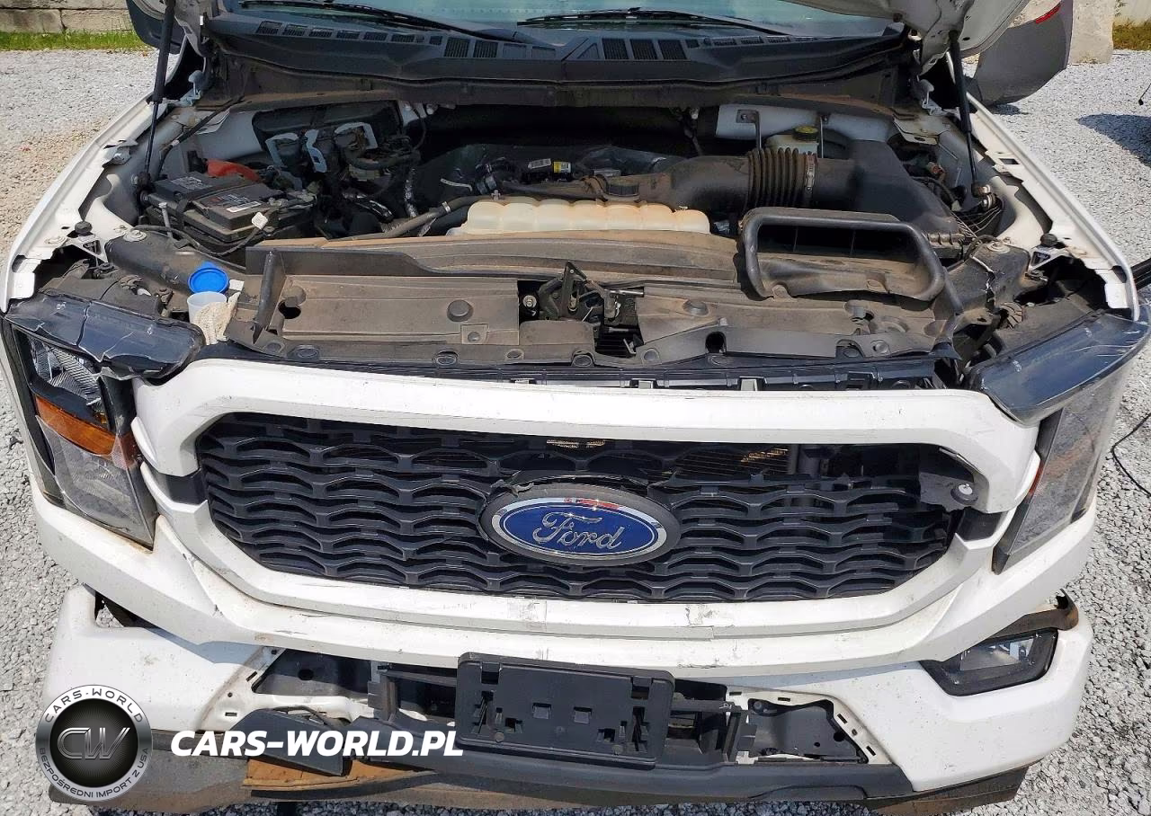 2023 Ford F150 Supercrew VIN:1FTEW1CP4PKD99562 - 11