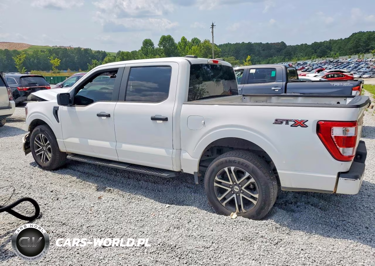 2023 Ford F150 Supercrew VIN:1FTEW1CP4PKD99562 - 2