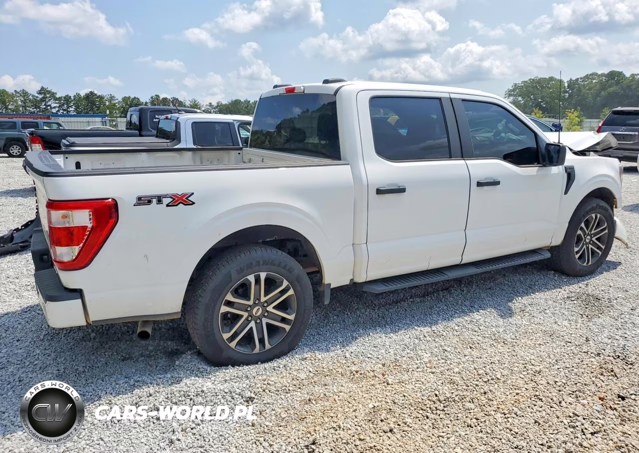 2023 Ford F150 Supercrew VIN:1FTEW1CP4PKD99562 - 3