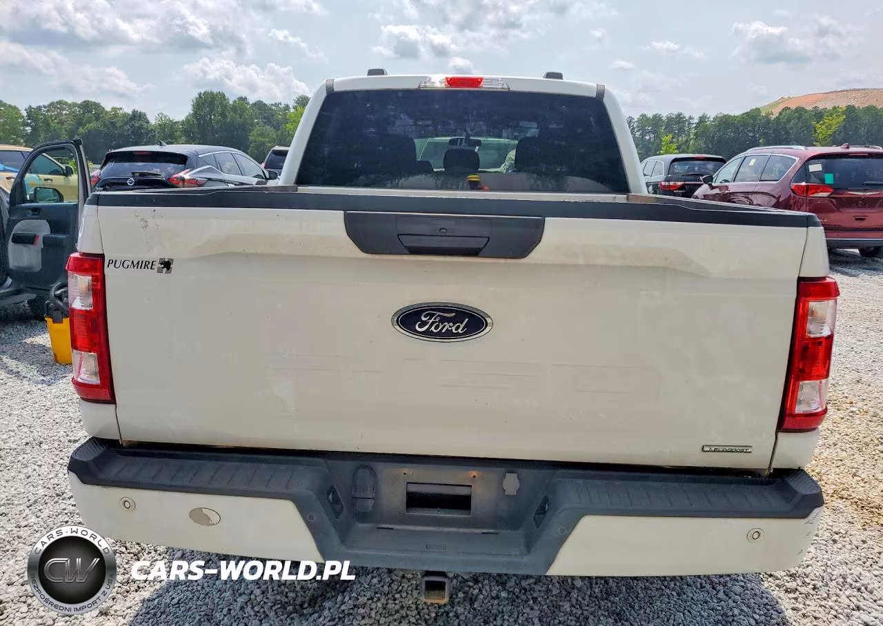 2023 Ford F150 Supercrew VIN:1FTEW1CP4PKD99562 - 6