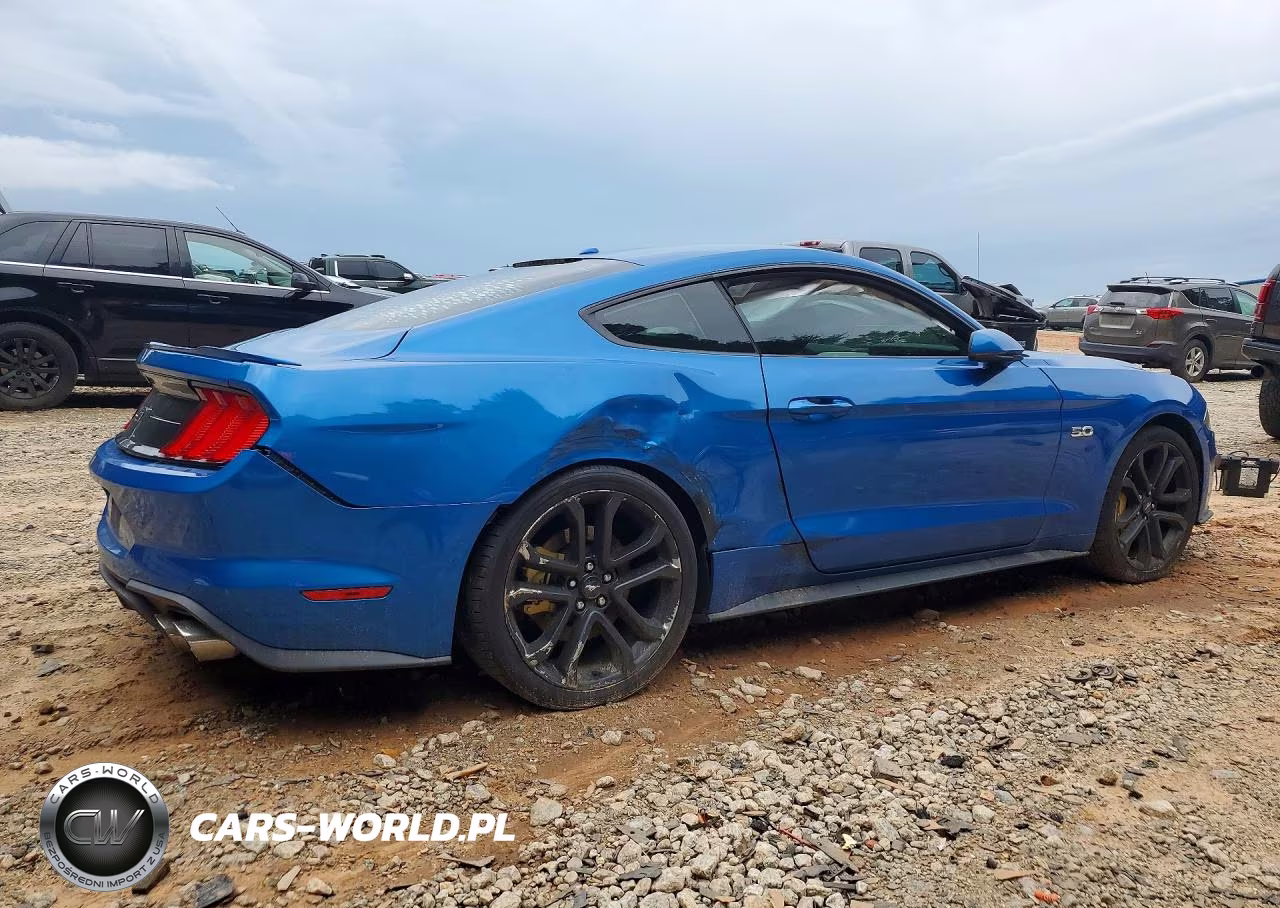 2020 Ford Mustang Gt VIN:1FA6P8CF5L5122855 - 3