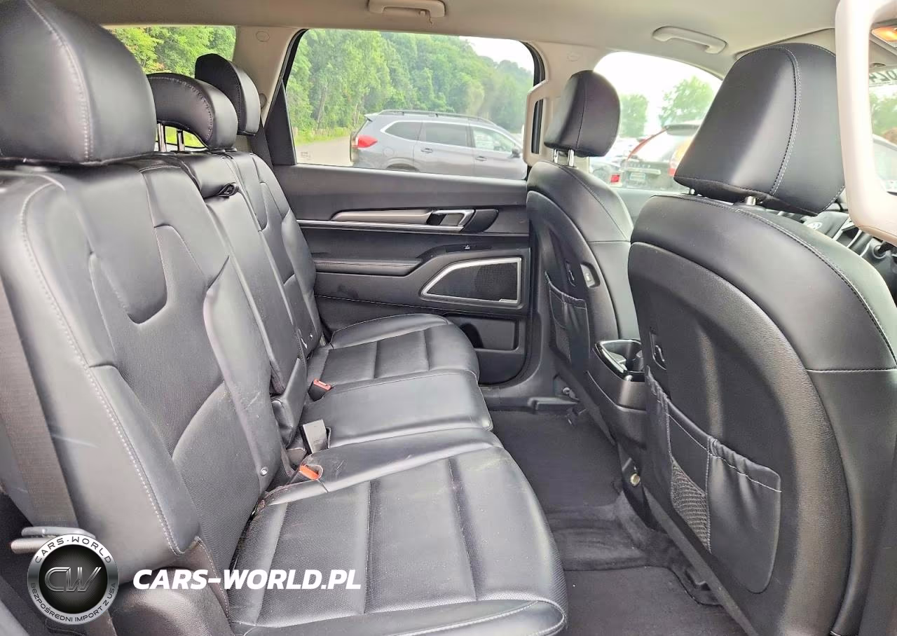 2020 Kia Telluride Lx VIN:5XYP2DHC5LG009743 - 11