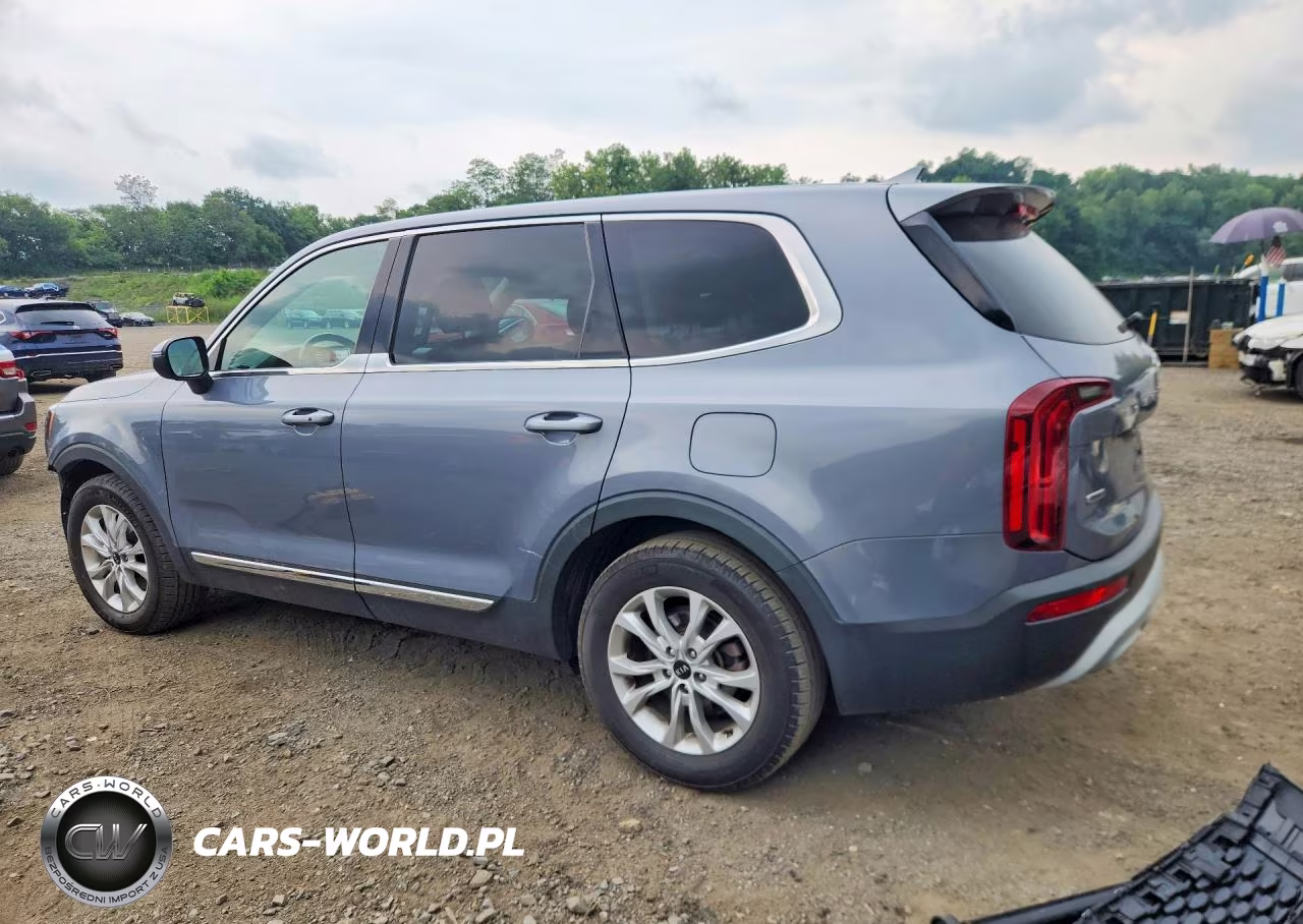 2020 Kia Telluride Lx VIN:5XYP2DHC5LG009743 - 2