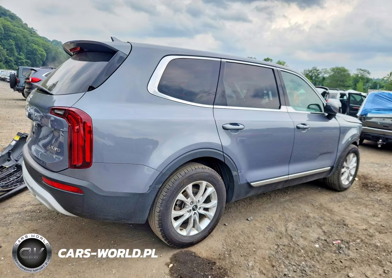 2020 Kia Telluride Lx VIN:5XYP2DHC5LG009743 - 3