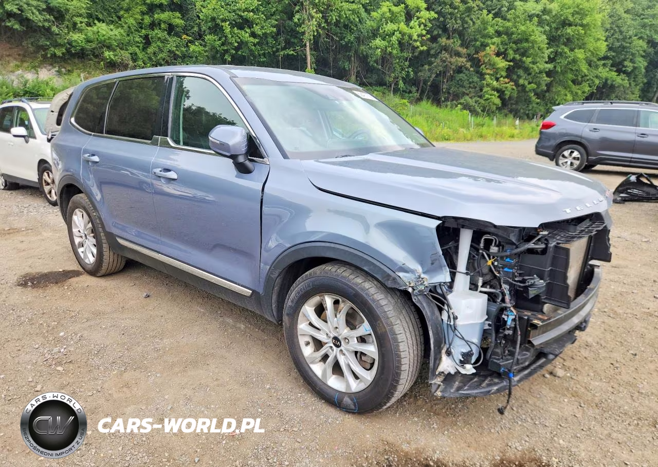 2020 Kia Telluride Lx VIN:5XYP2DHC5LG009743 - 4