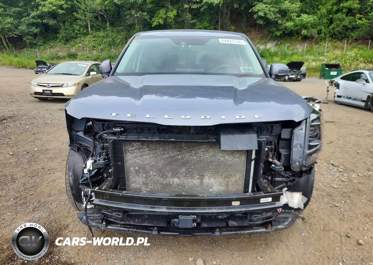 2020 Kia Telluride Lx VIN:5XYP2DHC5LG009743 - 5