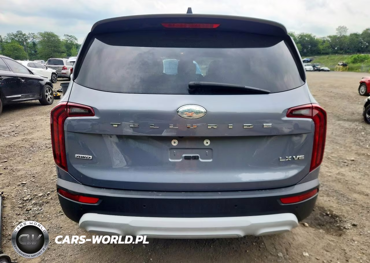 2020 Kia Telluride Lx VIN:5XYP2DHC5LG009743 - 6