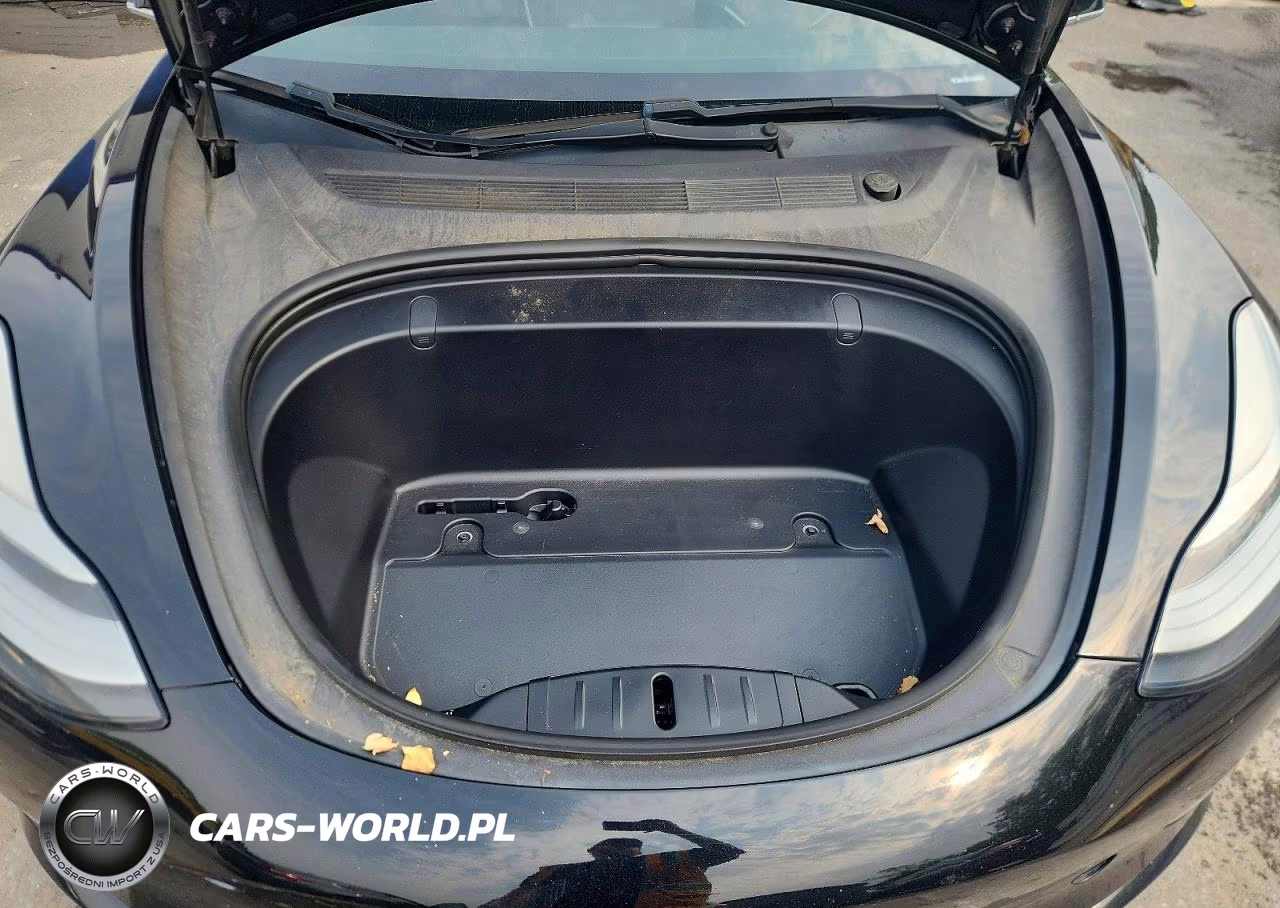 2019 Tesla Model 3 VIN:5YJ3E1EA1KF399432 - 11
