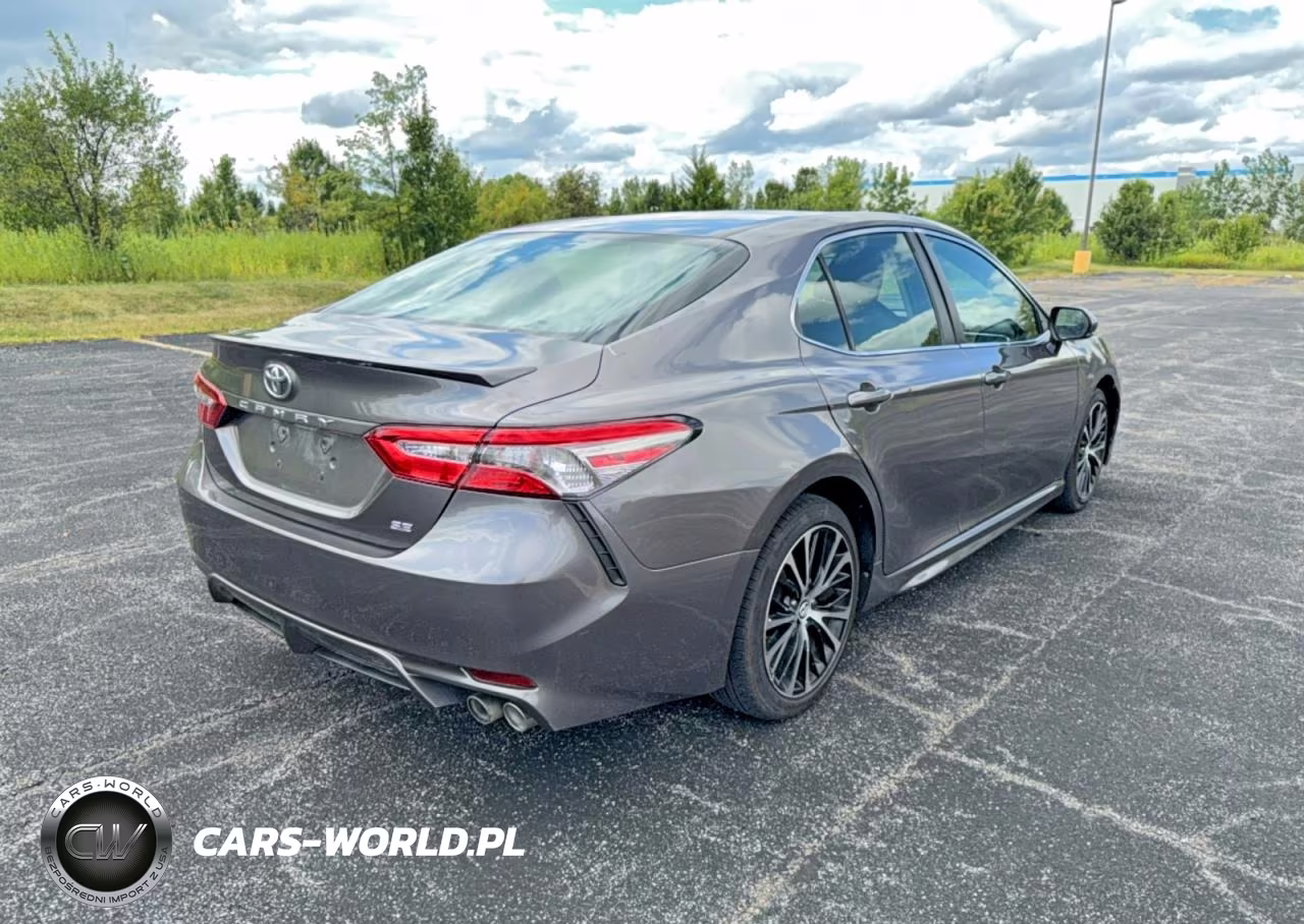 2018 Toyota Camry Se VIN:4T1B11HKXJU560650 - 4