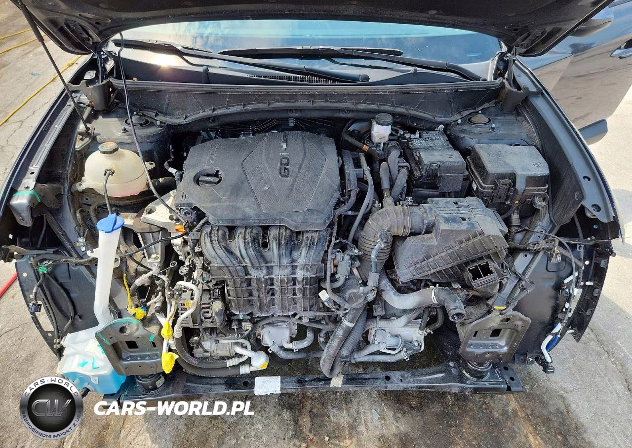 2024 Hyundai Tucson Sel VIN:5NMJB3DE7RH325859 - 12