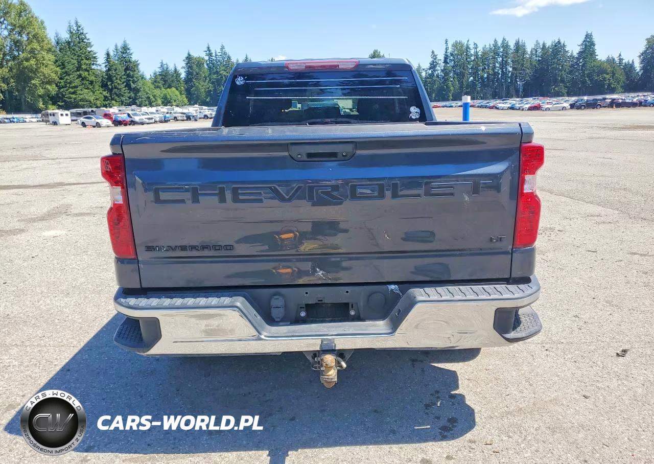 2020 Chevrolet Silverado K1500 Lt VIN:1GCRYDEDXLZ307534 - 6