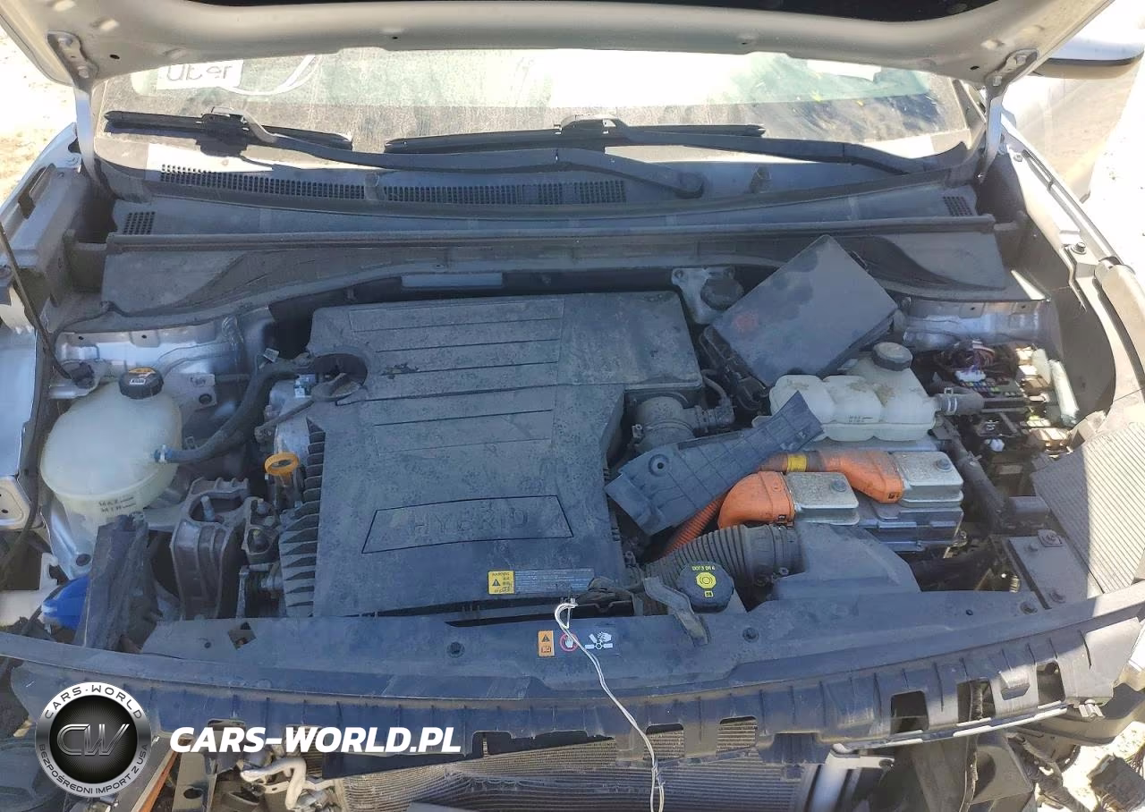 2019 Kia Niro Lx VIN:KNDCB3LC1K5297008 - 11