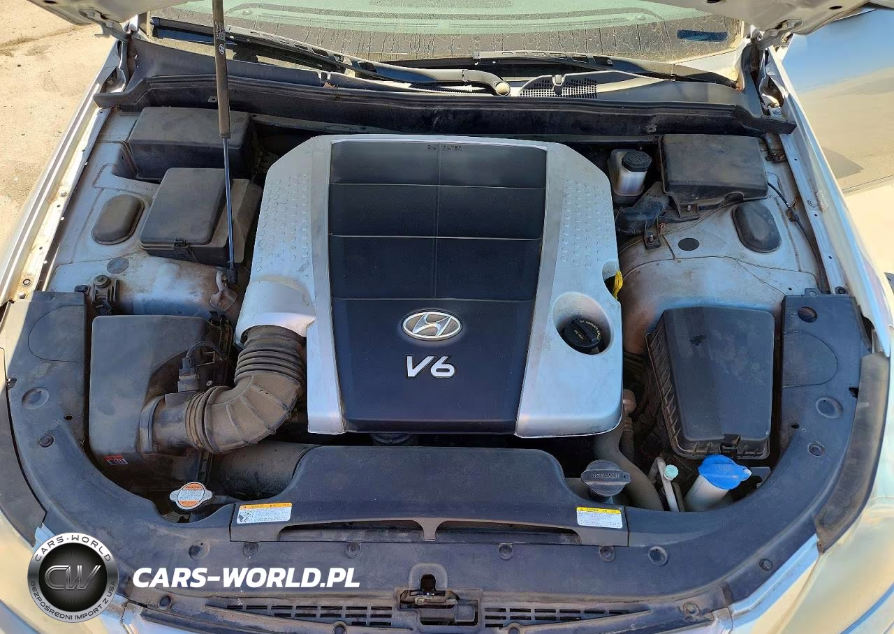 2010 Hyundai Genesis 3.8L VIN:KMHGC4DE0AU081039 - 11