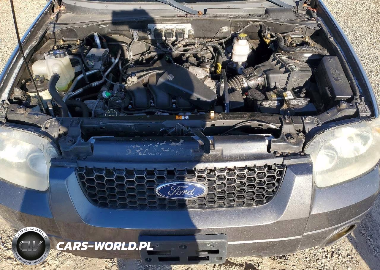 2005 Ford Escape Xlt VIN:1FMYU93185KA46215 - 11