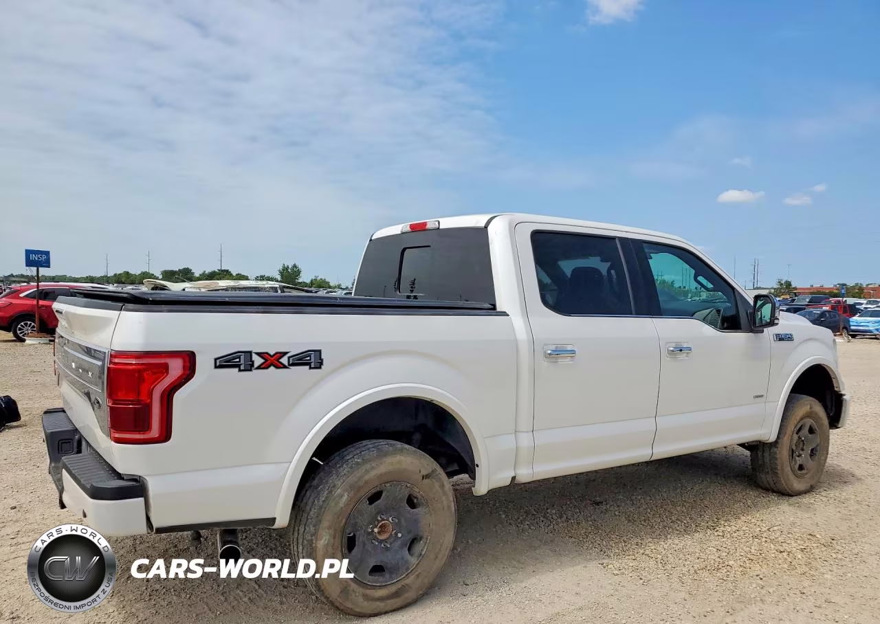 2017 Ford F150 Supercrew VIN:1FTEW1EG6HFB19549 - 3