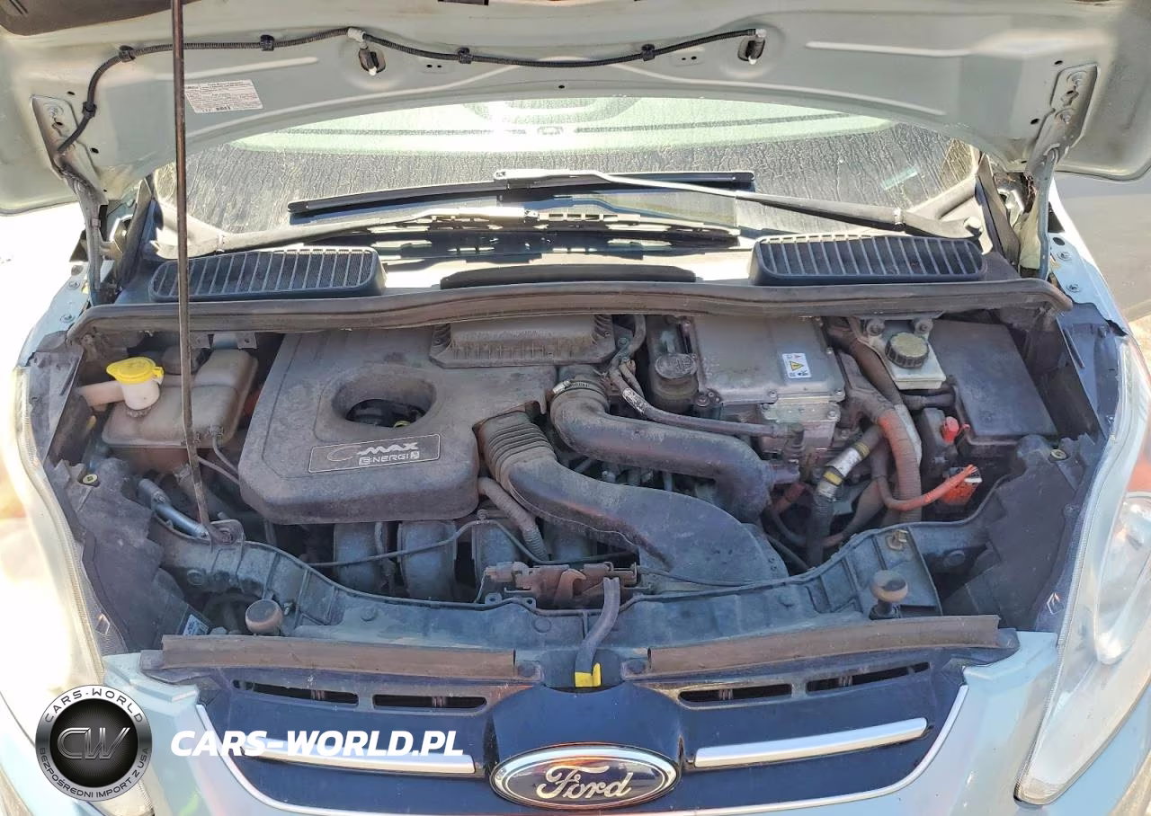 2014 Ford C-Max Premium VIN:1FADP5CU7EL508020 - 11