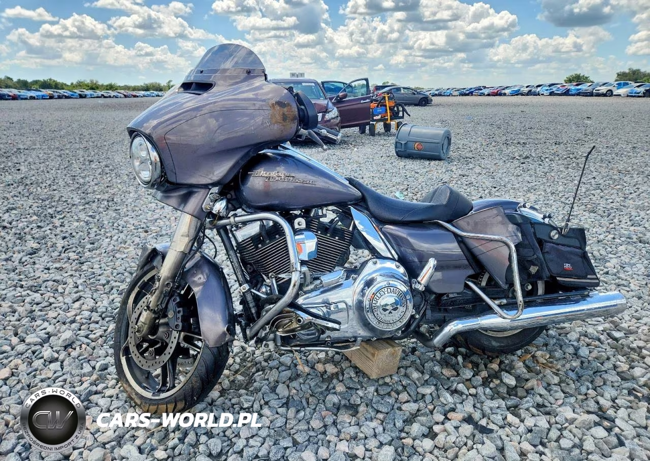 2015 Harley-Davidson Flhxs Street Glide Special VIN:1HD1KRM19FB616829 - 3