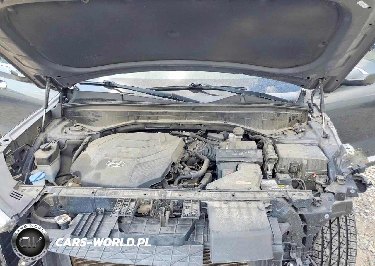 2020 Hyundai Palisade Sel VIN:KM8R34HE9LU132219 - 12