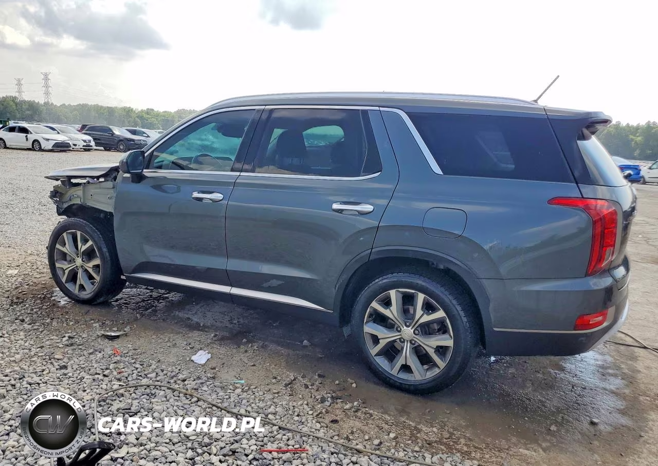 2020 Hyundai Palisade Sel VIN:KM8R34HE9LU132219 - 2