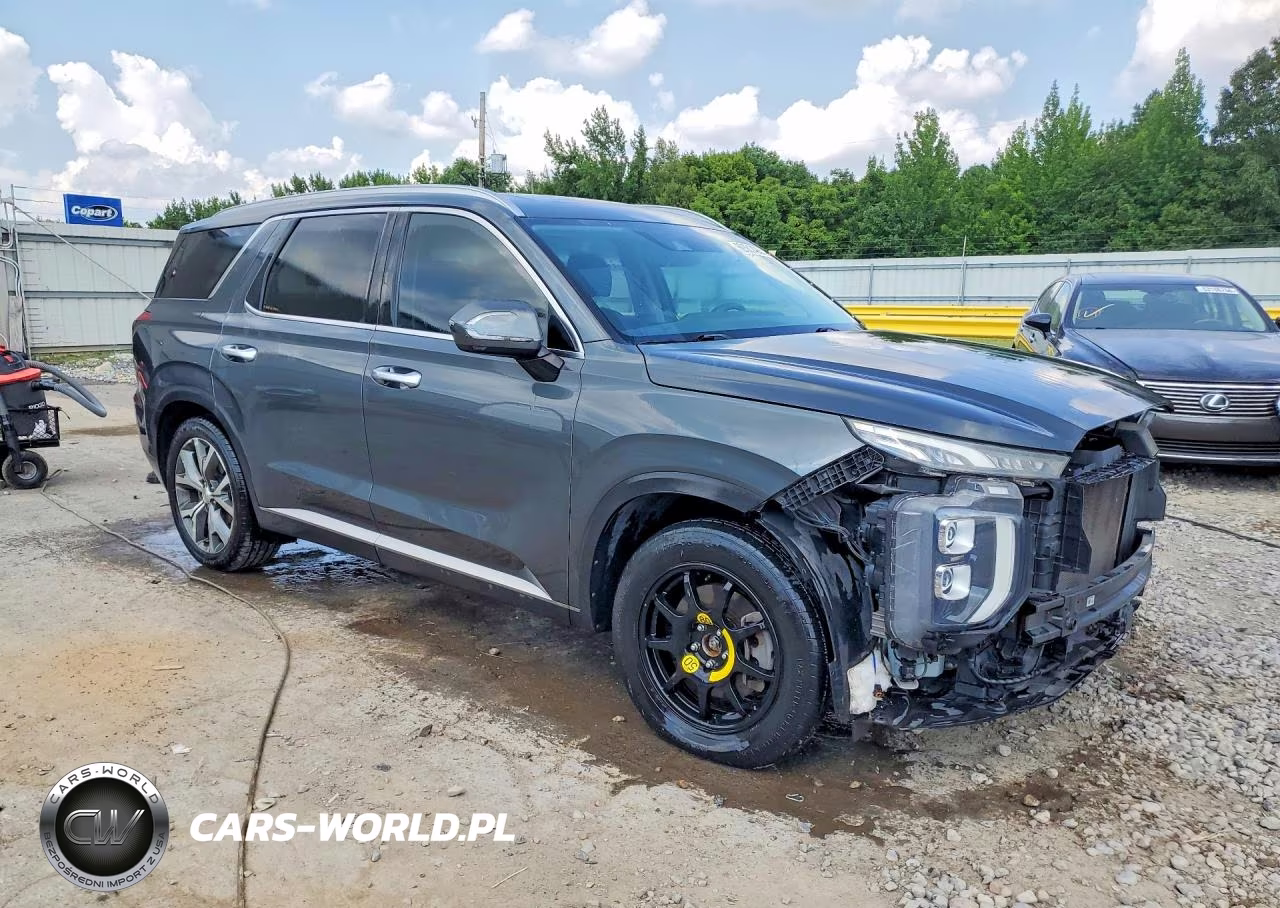 2020 Hyundai Palisade Sel VIN:KM8R34HE9LU132219 - 4